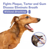 Pet Oral Care Spray – Teeth Cleaning Spray for Dogs & Cats - Image 11