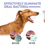 Pet Oral Care Spray – Teeth Cleaning Spray for Dogs & Cats - Image 5