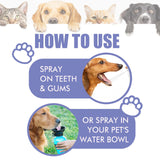 Pet Oral Care Spray – Teeth Cleaning Spray for Dogs & Cats - Image 17