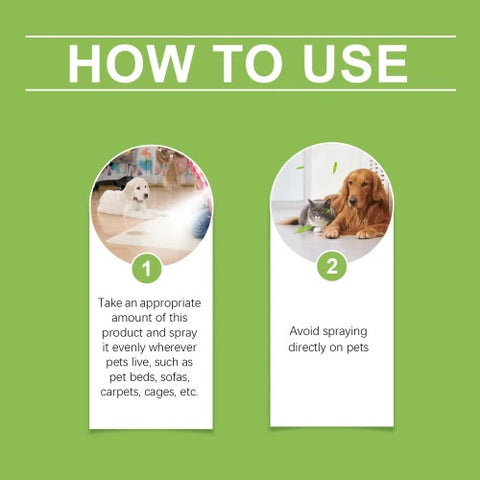 Yegbong Indoor Pet Area Odor Spray – Enzyme Pet Odor Eliminator