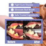 Pet Oral Care Spray – Teeth Cleaning Spray for Dogs & Cats - Image 2