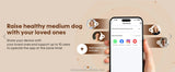 8L WiFi Smart Pet Feeder with 1080P HD Camera – See & Feed Anywhere - Image 15