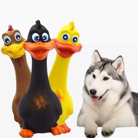 3-Pack Latex Screaming Chicken Dog Toys – Eco-Friendly Squeaky Fun