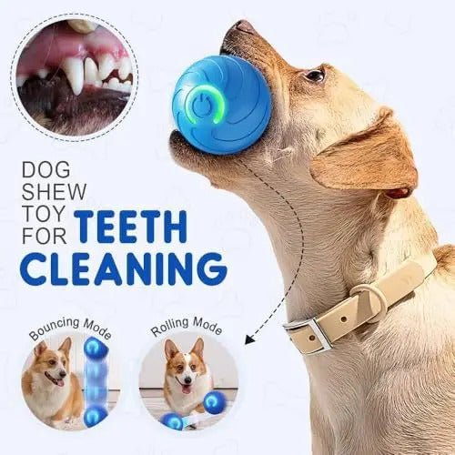 7779039a-2b7a-4c2d-8506-d158584da2b7