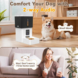 8L WiFi Smart Pet Feeder with 1080P HD Camera – See & Feed Anywhere - Image 5