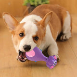 4-Pack Cute Latex Pet Dog Chew Toys – Teeth Cleaning Chew Toys - Image 4