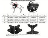 Luxury Pet Harness & Dog Leash Set – 1000D Nylon Tactical Dog Harness - Image 6