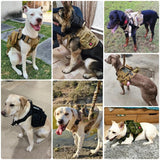 Luxury Pet Harness & Dog Leash Set – 1000D Nylon Tactical Dog Harness - Image 20