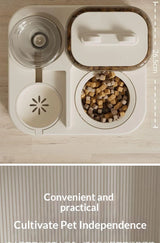Automatic Steel Pet Feeder – Dual Bowl Gravity-Fed Cat & Dog Feeder - Image 16